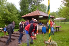 Maibaum 2014