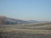 sl270544.jpg