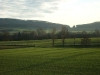 sl270632.jpg