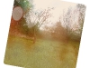 baum